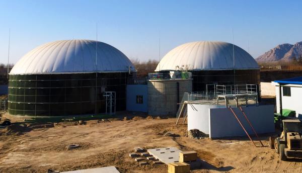 biogas digester 