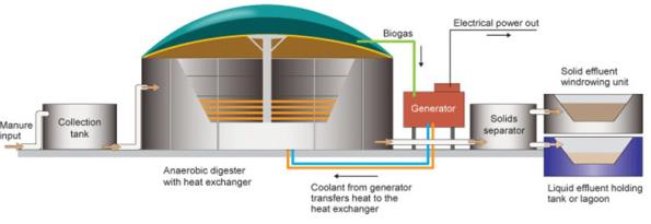 biogas storage tank design