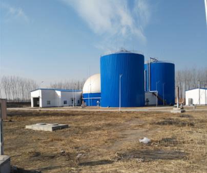 biogas assembled tank price